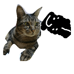 [LINEスタンプ] にゃんじゃろ
