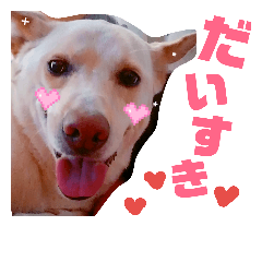 [LINEスタンプ] だいすきラブちゃんスタンプ