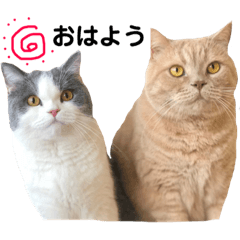 [LINEスタンプ] コタロー＆ハル