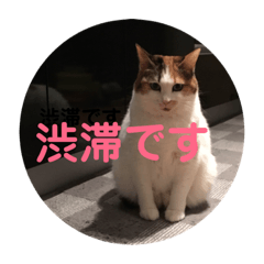 [LINEスタンプ] 茶色いおへそとカギしっぽ