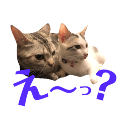 [LINEスタンプ] ルナ＆うり