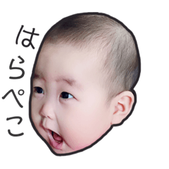 [LINEスタンプ] こはすた  6 months old