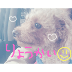 [LINEスタンプ] こばみれさんの家族