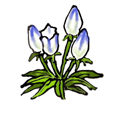[LINEスタンプ] 高山植物の花で癒してね  2