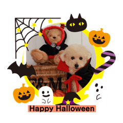 [LINEスタンプ] ジャスのハロウィンスタンプ