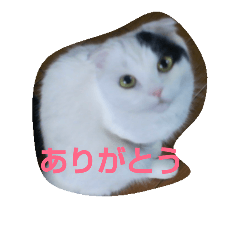 [LINEスタンプ] もかジジそら