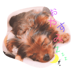 [LINEスタンプ] R.stamp.