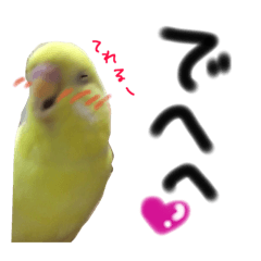 [LINEスタンプ] インコのサスケ 其の四