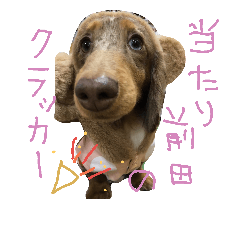 [LINEスタンプ] うちのたろのすけ
