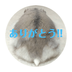 [LINEスタンプ] 我が家のはむちゃんず