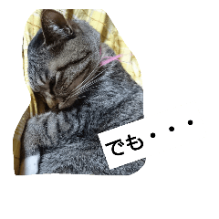 [LINEスタンプ] 猫屋敷 わさりりあん～～②