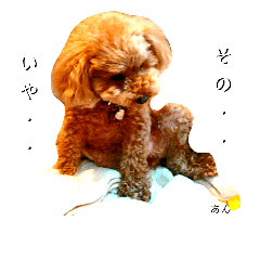 [LINEスタンプ] あんもちスタンプ2個目