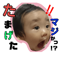 [LINEスタンプ] うちの凜大くん1