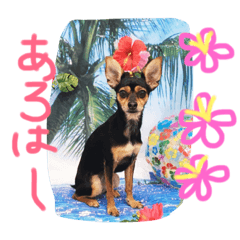 [LINEスタンプ] マロンスタンプ第2弾☆