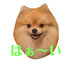 [LINEスタンプ] なかよしまりがろ2