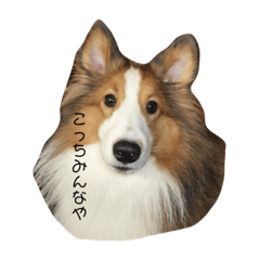 [LINEスタンプ] チェルちゃんと愉快な仲間達
