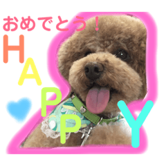 [LINEスタンプ] ツンデレモコちゃんの日常〜日常使える編〜