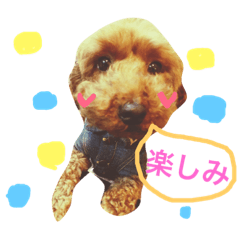 [LINEスタンプ] アンジーの毎日
