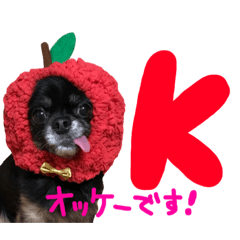 [LINEスタンプ] おとぼけチワワのショコラ