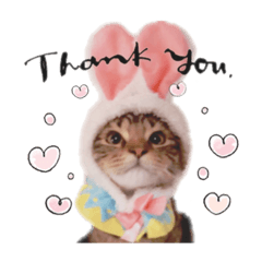 [LINEスタンプ] mi ＆ titi ♡
