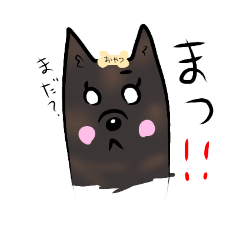 [LINEスタンプ] 甲斐犬〜卯月〜