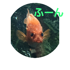[LINEスタンプ] いきものパラダイス