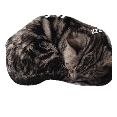 [LINEスタンプ] 猫ニャン達