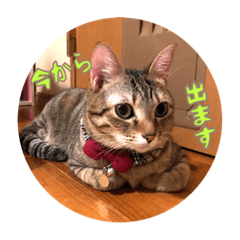 [LINEスタンプ] メル と てまり
