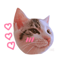 [LINEスタンプ] ♡ ume stamp ♡