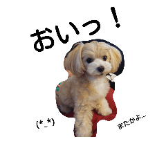 [LINEスタンプ] 助けてマルプー