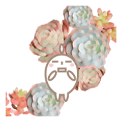 [LINEスタンプ] 多肉スタンプ 日常会話