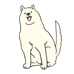 [LINEスタンプ] 秋田犬のシロチャン