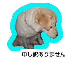 [LINEスタンプ] うちのななさん