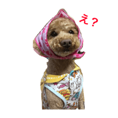 [LINEスタンプ] ひなひなひな！