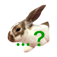 [LINEスタンプ] 本物のウサギ120%〜よく使う〜