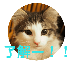 [LINEスタンプ] ヨシュアスタンプ。