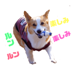 [LINEスタンプ] マロンたんだよ❤️