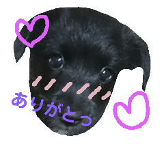 [LINEスタンプ] もかぷぅ一家
