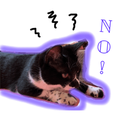 [LINEスタンプ] 僕の名前はパンダ(日常で使えそうなの)