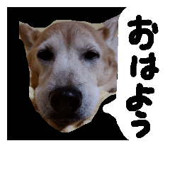 [LINEスタンプ] ミックス犬 はなちゃん 黒猫 べーちゃん