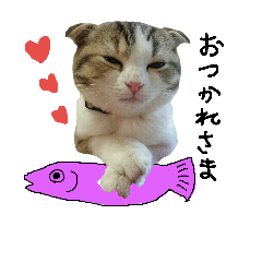 [LINEスタンプ] 愛猫まーぼ