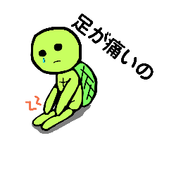 [LINEスタンプ] 車椅子カメさん