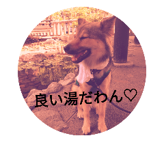 [LINEスタンプ] 気まぐれマー君