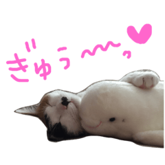 [LINEスタンプ] KIKI ^._.^   3