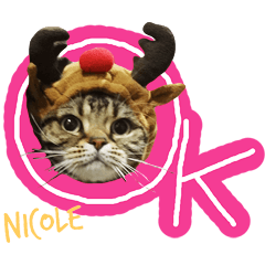 [LINEスタンプ] ねこズ_愛する ねこ達