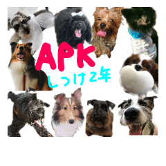 [LINEスタンプ] マフィンとAPKの仲間たち