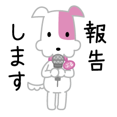 [LINEスタンプ] KCN京都ぶるちゃんスタンプ