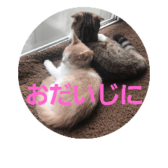 [LINEスタンプ] ひこ＆くー 2