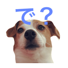 [LINEスタンプ] たまに使えるA