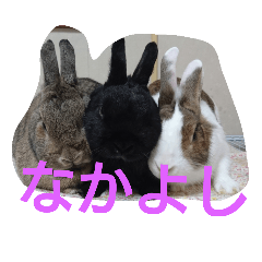 [LINEスタンプ] うさちゃんあるある